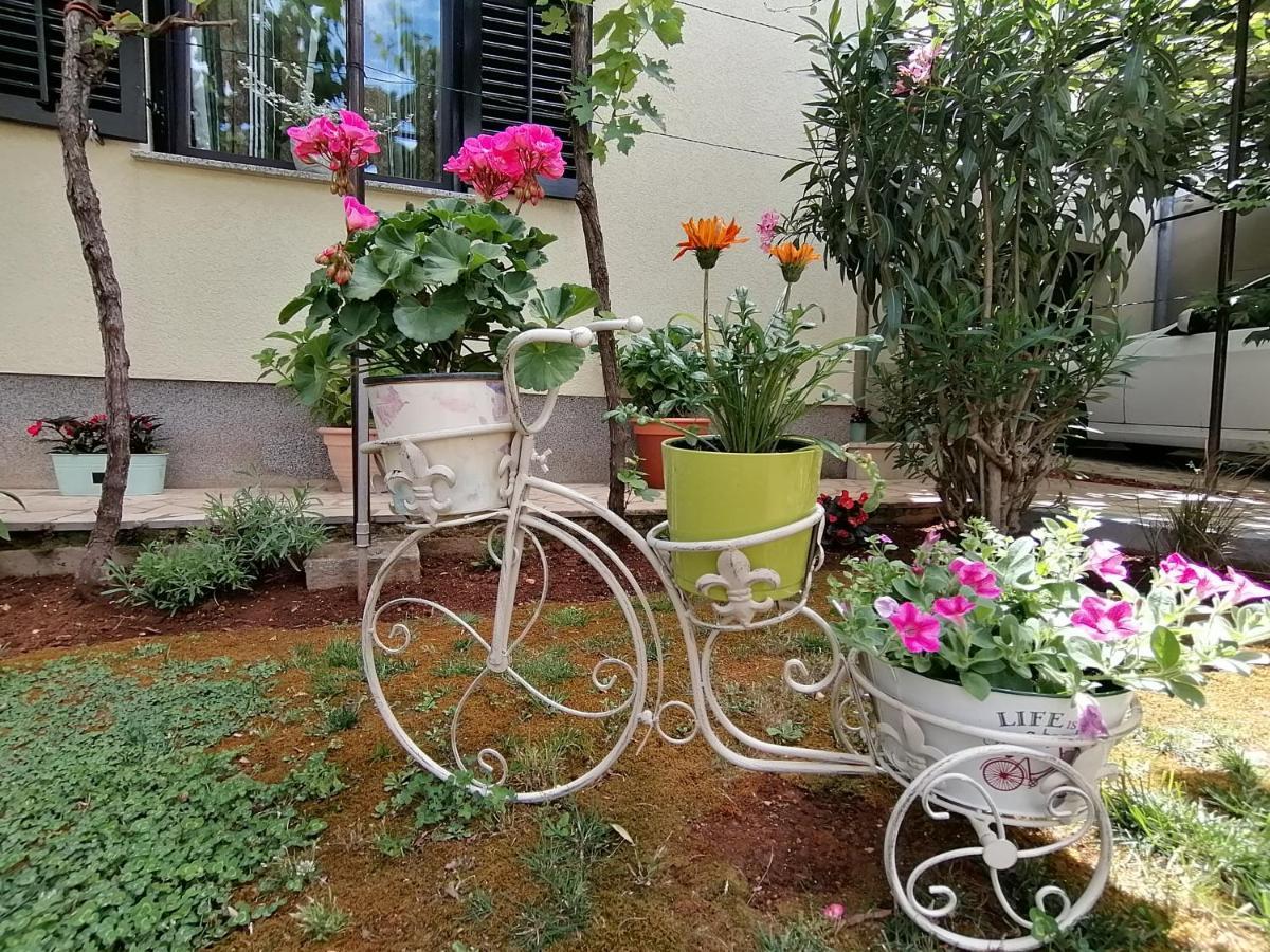 Apartment Oliva Pula Bagian luar foto