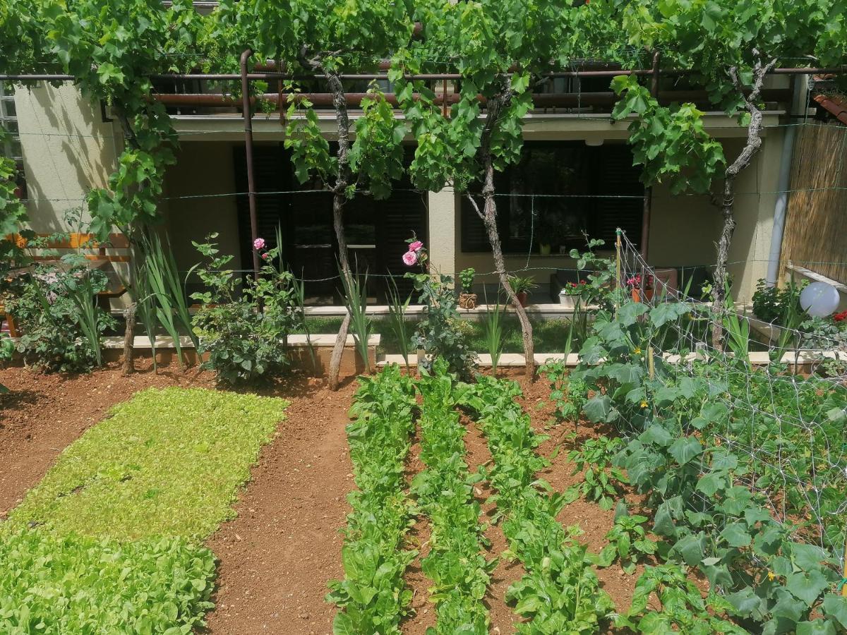 Apartment Oliva Pula Bagian luar foto