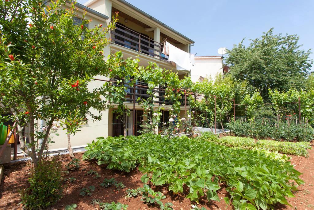 Apartment Oliva Pula Bagian luar foto